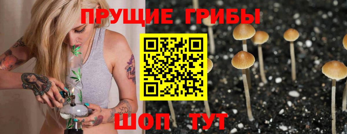 Междуреченск  где можно купить   Вход с VPN  Псилоцибиновые грибы Magic Shrooms  Галлюциногенные грибы мицелий 